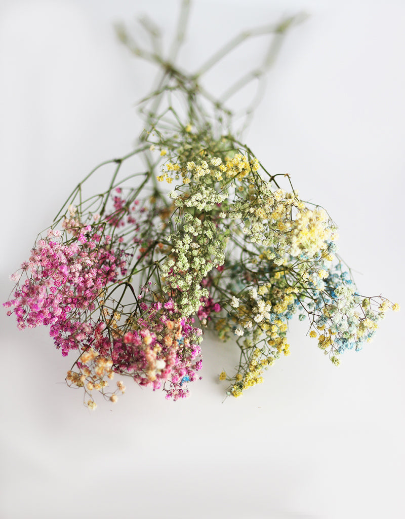 rainbow gypsophila bouquet