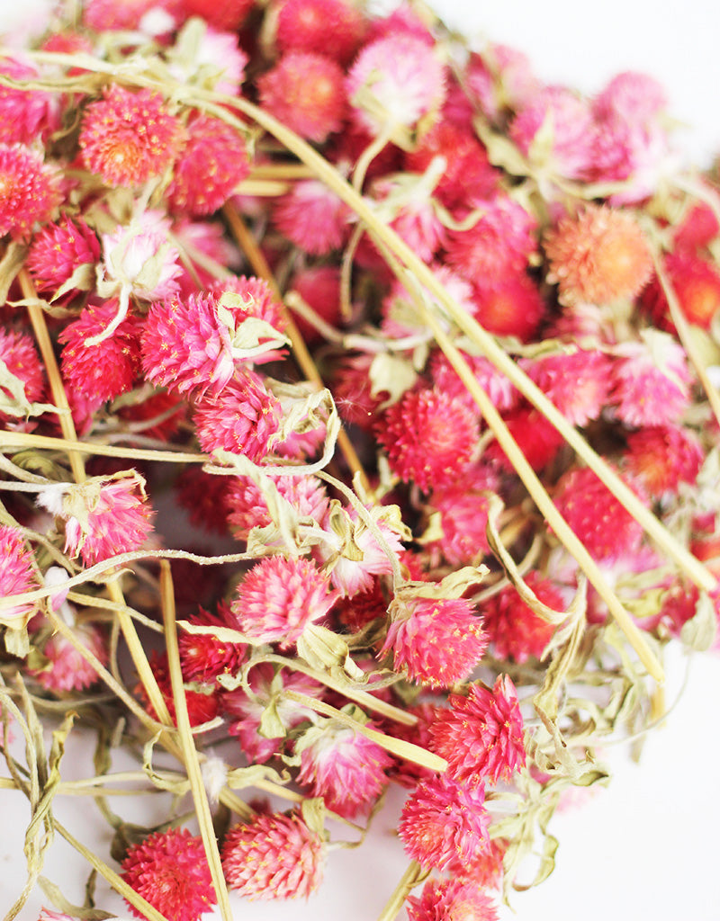 Dried Gomphrena Heads