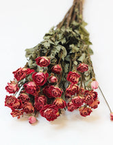 red roses