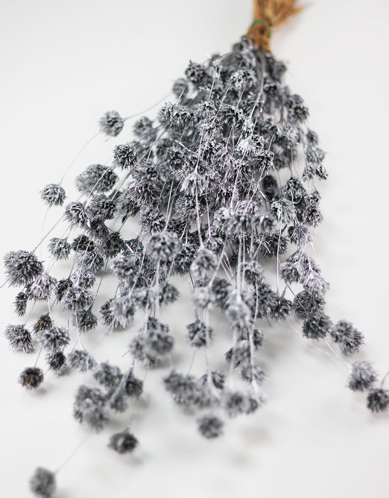 Silver Dried Flowers