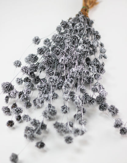 Silver Dried Flowers