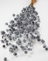 Silver Dried Flowers