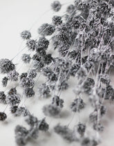Silver flowers
