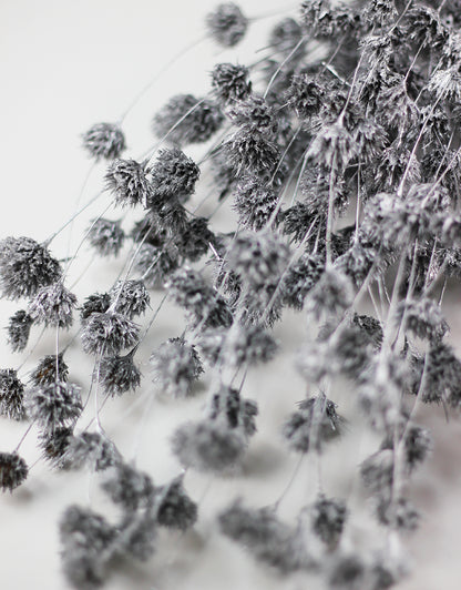 Silver flowers