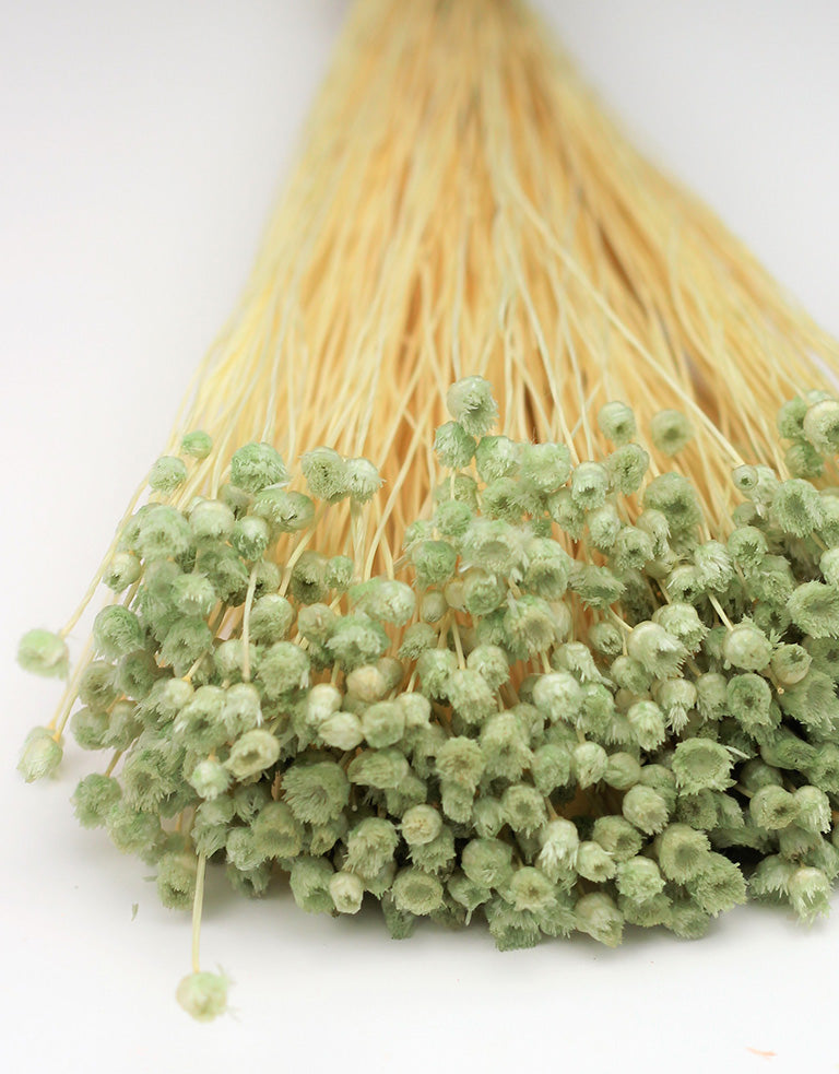 Green Happy Flowers
