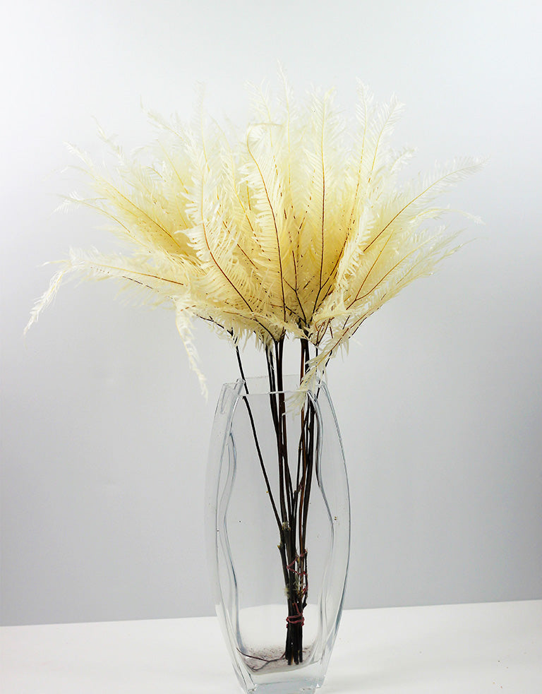 Preserved Umbrella Fern, Bleached Bunch