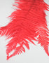 Red Fern UK