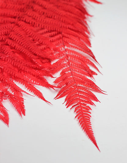 Royal Red Fern