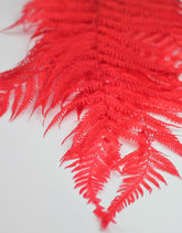 Dried Fern Red Bunch