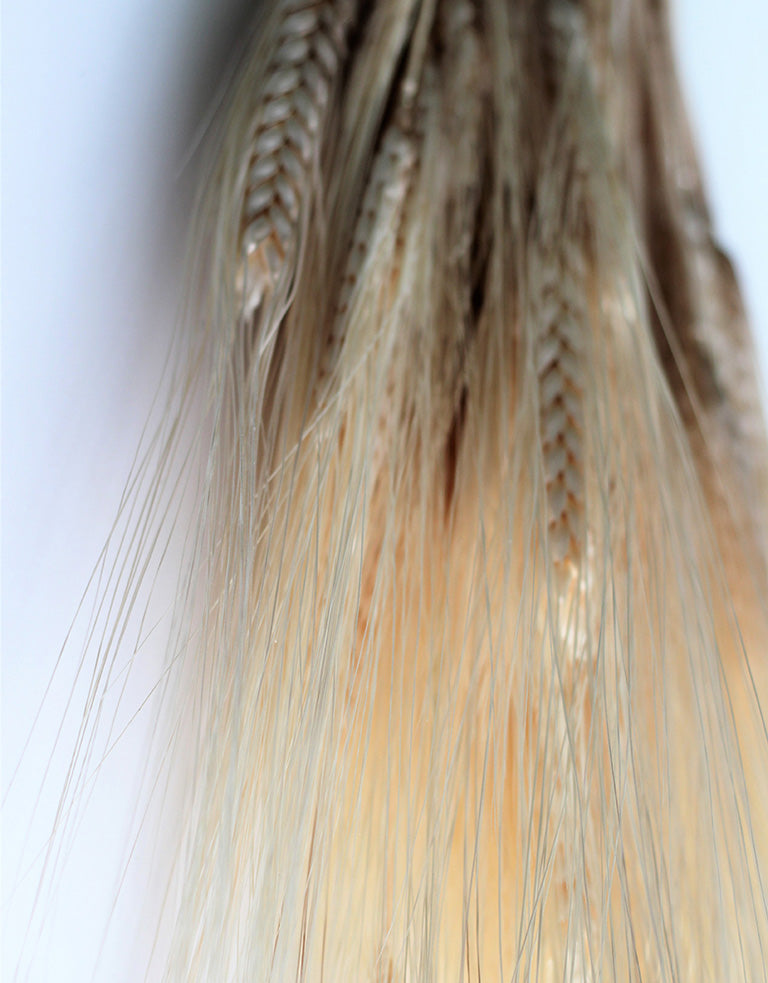 Dried Wheat Bunch