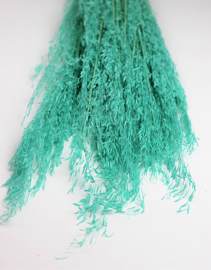 dried munni grass