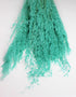 dried munni grass