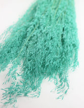 Dried Grass Wholesale UK