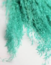 blue munni grass