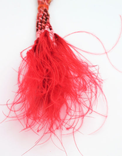 Dried Stypha Penata Red Bunch