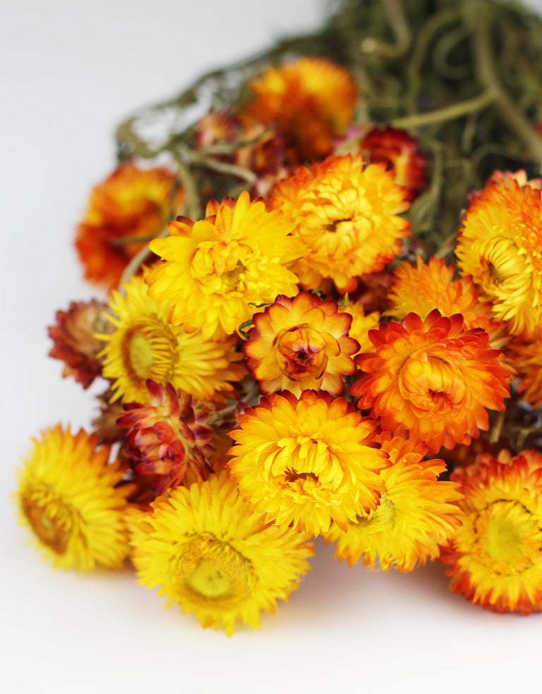 Orange Flowers UK