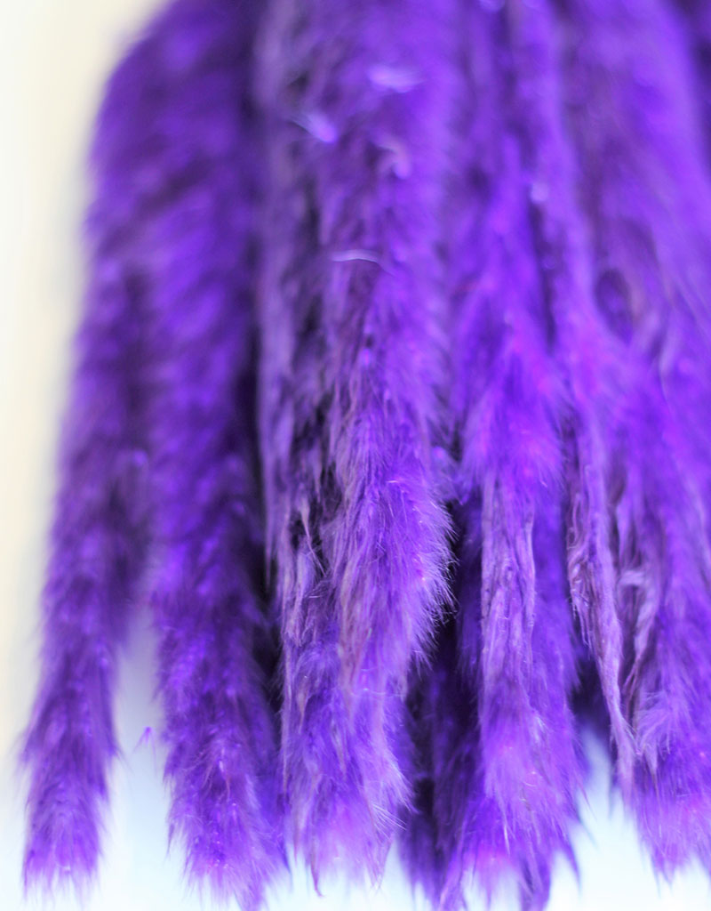 Fluffy Dried Pampas Grass - Purple, 10 Stems, 75 cm (Cortaderia)