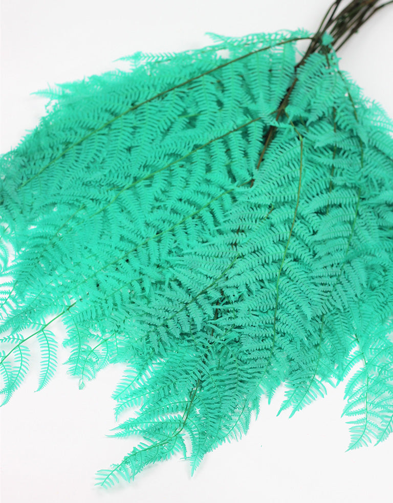 Bracken Fern