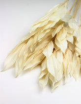 Preserved Foliage UK