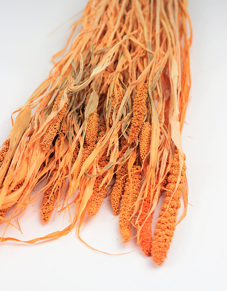 Dried Canary Millet