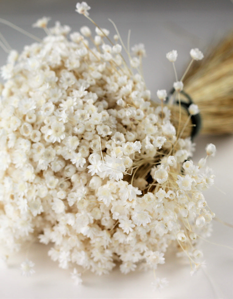 Bleached Mixed Dried Flowers, Dried Flower Bouquet