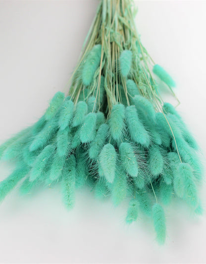 Dried Bunny Tails 