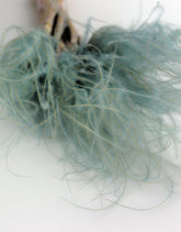 Dried Stypha Pennata