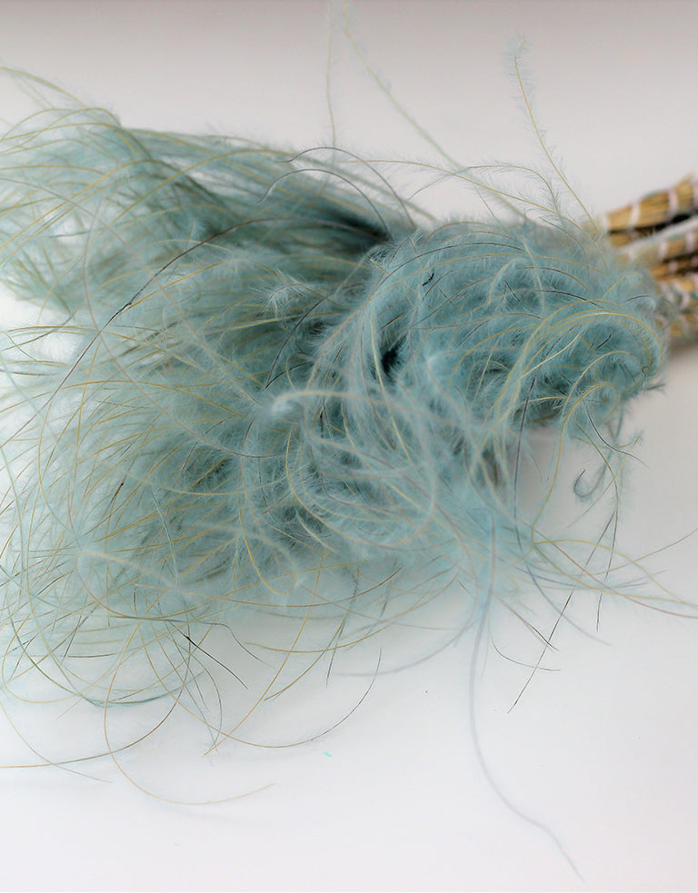 Dried Stypha Pennata UK