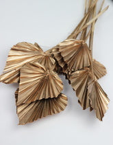 Dried palm spears