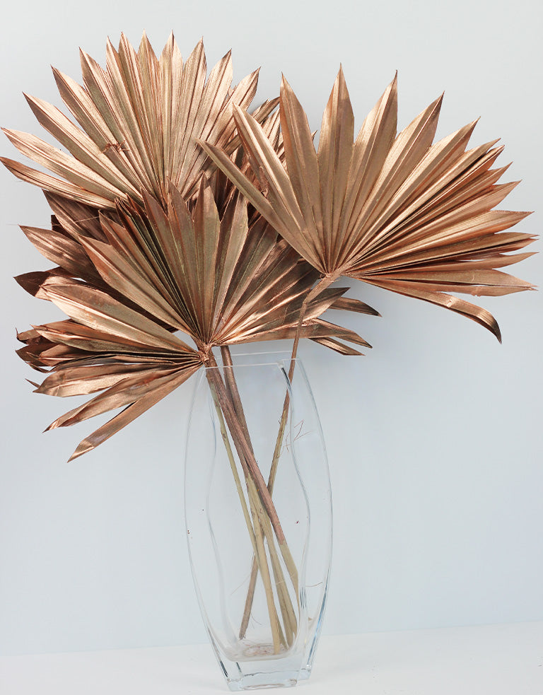 copper sun palms