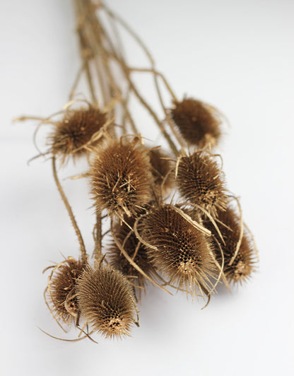golden dried flowers 