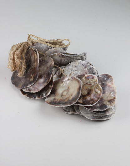 Hanging Sea Shell Cluster