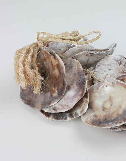 Hanging Sea Shell Cluster - Natural, 30 cm