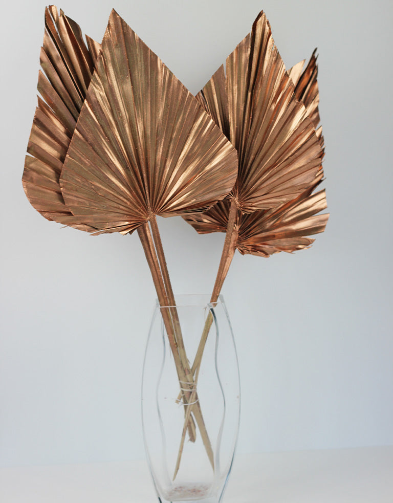 copper palm spears