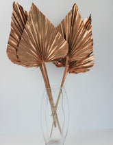 copper palm spears