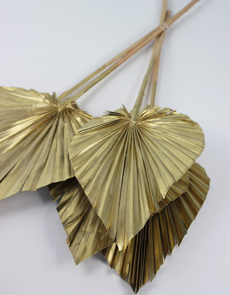 Dried Golden Palm