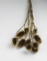 dried golden flowers UK