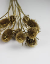 golden dried flowers