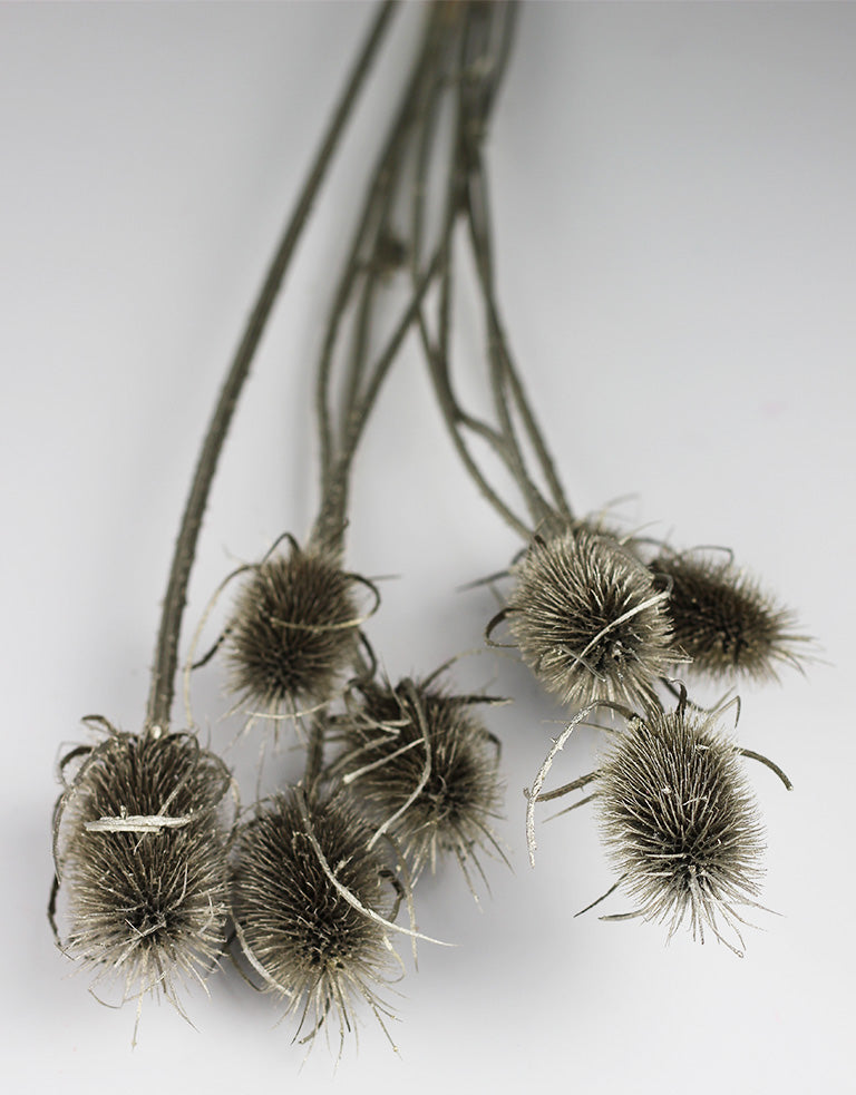 Buy Dried Flowers Online in UK Leading Dried Flowers Suppliers Page