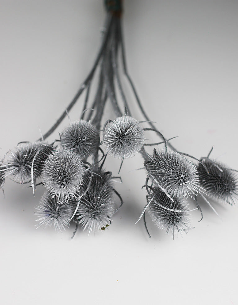 silver dried flowers