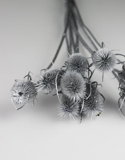 cardistella flowers UK