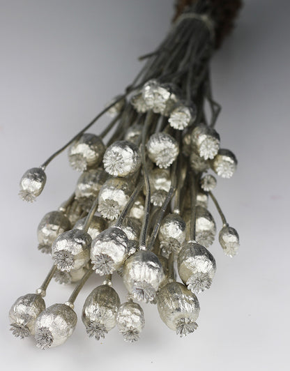 dried poppy heads 