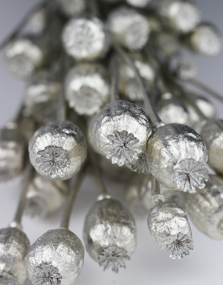 poppy heads wholesale