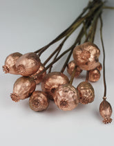 wholesale poppy heads