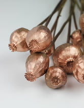 bulk dried flowers