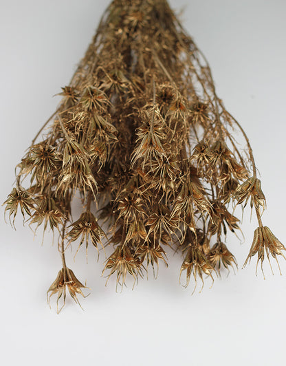 Dried Orientalis Nigella Bunch