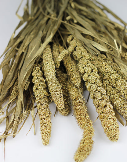 Golden dried flowers Uk