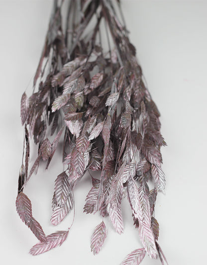pink dried flowers UK