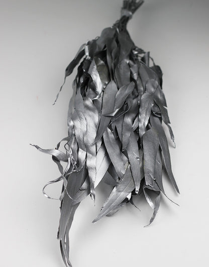 Dried Eucalyptus,  Silver Bunch