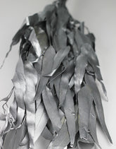 silver eucalyptus